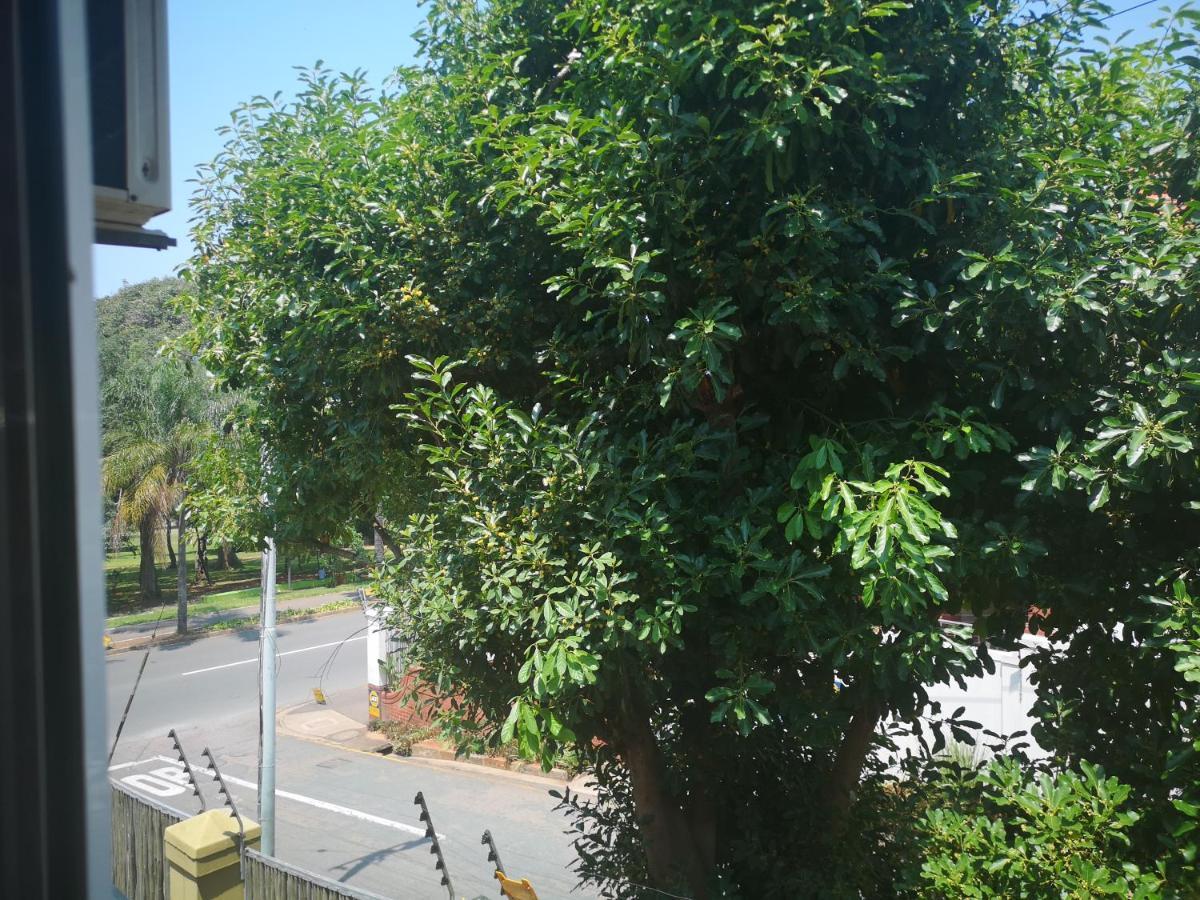Kzn Park View Guest House Durban Kültér fotó